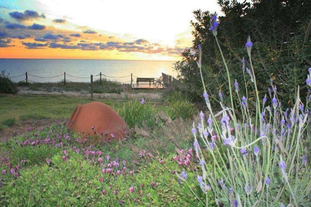 Blue Coral Beach Villas Paphos 外观 照片
